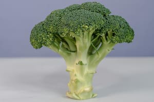 El brócoli es uno de los vegetales que más beneficios tiene para la salud por sus compuestos químicos; conocé tres opciones saludables para no desechar su tallo