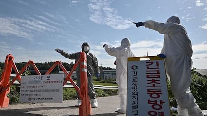 El brote de fiebre porcina en 2019 llevó a prohibir el uso de raciones animales elaboradas a partir de restos de comida.