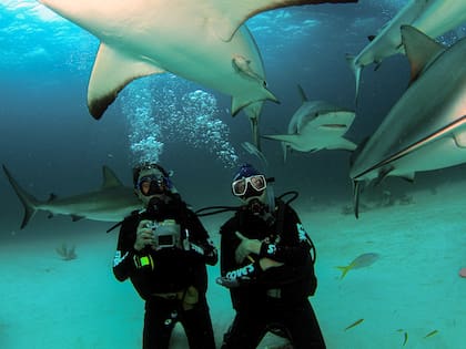 El buceo es una actividad que puede demandar mucho energéticamente, especialmente en condiciones climáticas cambiantes