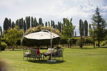 El bucólico entorno de la bodega se presta para comer al aire libre.