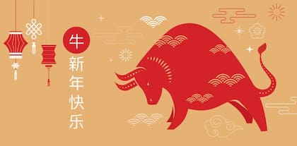 El buey es el segundo animal de la lista de 12 animales del horóscopo chino.