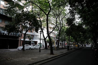 El bulevar Chenaut, calle emblema de Las Cañitas