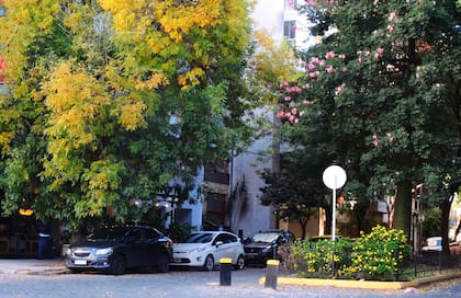El bulevar de la calle Mendoza.