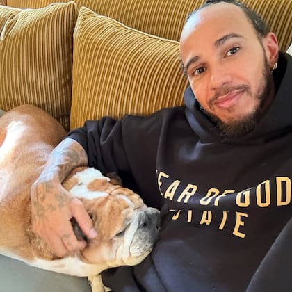 El bulldog lleva 12 años en la vida del siete veces campeón de la Fórmula 1 (Foto: Instagram @lewishamilton)