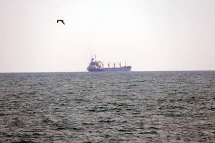 El buque de carga Razoni, con bandera de Sierra Leona y 26.000 toneladas de grano ucraniano a bordo, abandona el puerto de la región de Odessa.