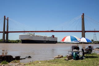 Cómo es el barco que trajo casi 7000 autos a la Argentina