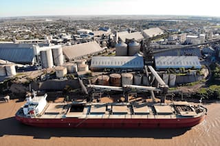 Descubrieron 485 kilos de cocaína en un buque cerealero que iba desde Santa Fe hacia Ámsterdam