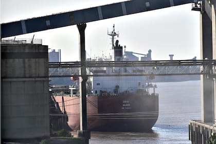 El buque MV CECI, con bandera de Islas Marshall, en el puerto de San Lorenzo