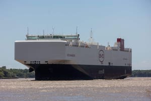 Llegó al país el primer barco con casi 7000 autos de una sola marca: tiene hasta "espanta piratas"