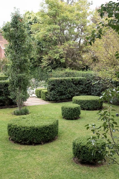 El buxus tiene buena resistencia a las altas temperaturas, las sequías y los vientos. Es muy utilizado para dar forma, sectorizar y dar estructura a un jardín.