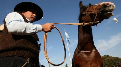 El caballo criollo, presente desde la época de la colonia