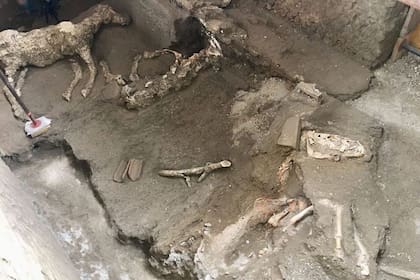 El caballo del jefe todavía estaba atado en el establo cuando el viento de fuego llegó