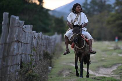 El caballo es uno de los medios de locomoción principales de los Arhuaco 