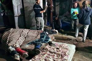 El caballo Gato, en el Centro de Rescate y Rehabilitación Equino, tras ser robado y recuperado con severas quebraduras; poco después, murió