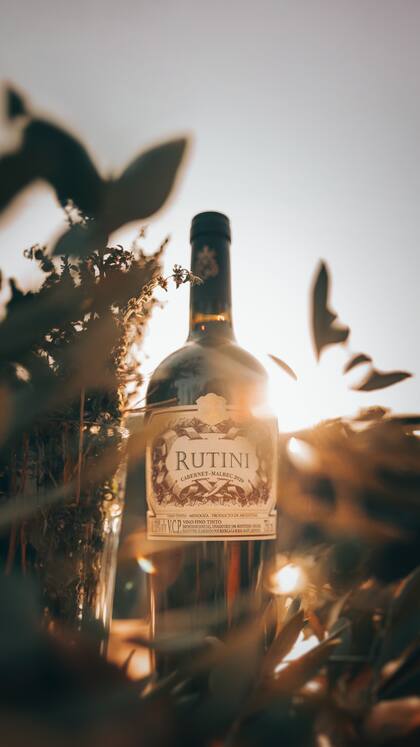 El Cabernet Sauvignon entrega su carácter corpóreo y pleno, y el Malbec matiza el corte con taninos suaves y dulces, realzando una combinación única de aromas y sabores frutados.