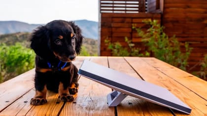 El cable de alimentación de 15 metros complica la esencia mini del equipo para muchos usuarios