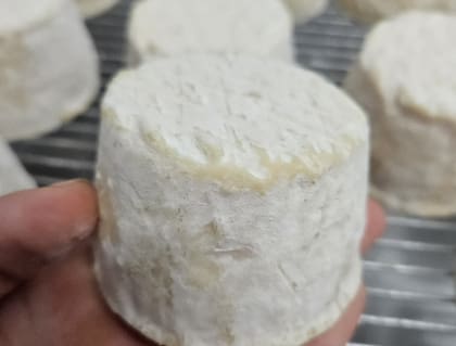 De París al campo argentino: la francesa que eligió hacer quesos 25 El Cabrarond tiene una maduración de 20 días; es de forma circular, similar a un Camembert; de corteza florecida e interior cremoso