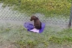 Lo abandonaron en una cancha, lo encontraron cuando había aceptado morir y le dieron una segunda oportunidad