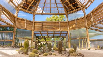 El cactario cuenta con una colección única de cactus, digna de visitar