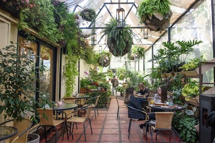 El café entre plantas que dan un clima especial al lugar