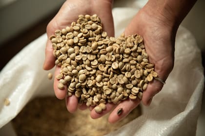El café es de tipo arábiga 100% argentino y natural.