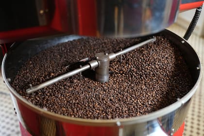 El café funciona por sustracción: absorbe las moléculas responsables del olor