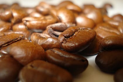 La cosecha de café, afectada por las sequías.