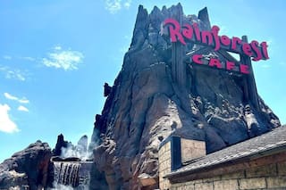 Así se ve hoy el único Rainforest Cafe de California y por qué se niega a morir