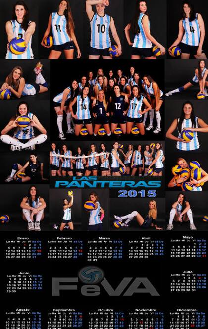 El calendario 2015 de las Panteras