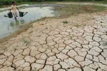 El calentamiento climático en el mundo ha emperado la desertificación