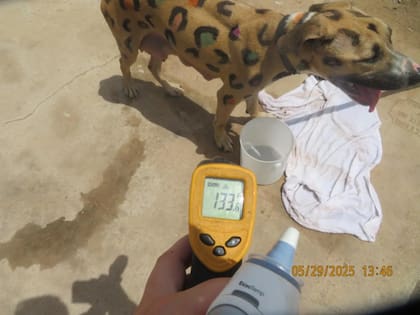 El calor era agobiante ese día