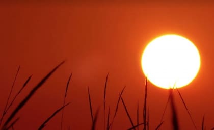 El calor extremo le provocó un paro cardíaco y fue declarada muerta durante tres minutos, pero pudieron reanimarla (imagen ilustrativa)