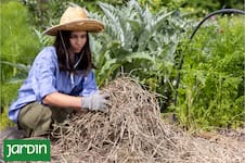 Qué evitar para no arruinar el jardín