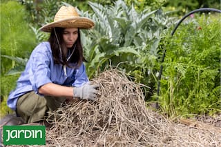 Qué evitar para no arruinar el jardín