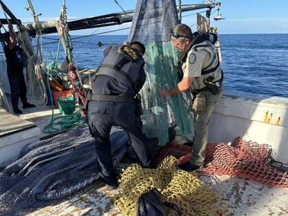El camarón floridano es capturado en aguas del Atlántico Sur y del Golfo de México, donde se emplean técnicas que cumplen con regulaciones ambientales estrictas