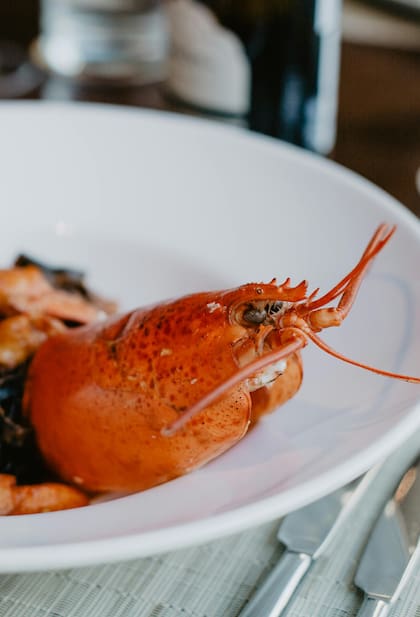 El camarón, la langosta y el cangrejo contienen glucosamina en la cáscara (Foto de carácter ilustrativo: PEXELS)