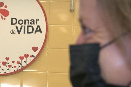 El cambio central que trae el Centro Regional de Hemoterapia es la concentración de la etapa intermedia: el procesamiento, la garantía de calidad y la selección de los hemoderivados