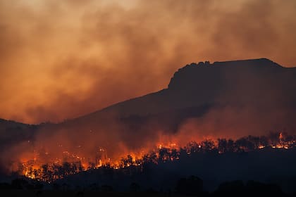 El cambio climático es un factor clave en el aumento de incendios forestales. Es una de las  megaamenazas que menciona el experto