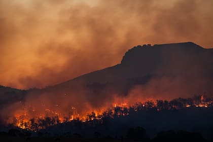El cambio climático es un factor clave en el aumento de incendios forestales