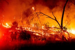 El cambio climático aumentó el riesgo de incendios a un ritmo infernal