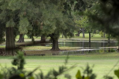 El cambio climático genera que eventos extremos de precipitaciones y sequías sean más frecuentes