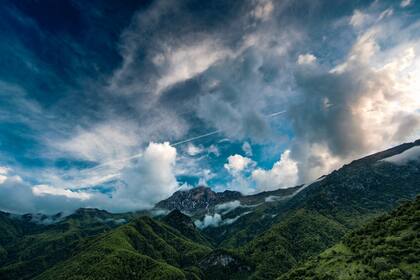 El cambio climático parece ser el principal culpable de la expansión tropical