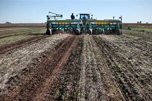 El cambio de escenario para el agro alienta la siembra
