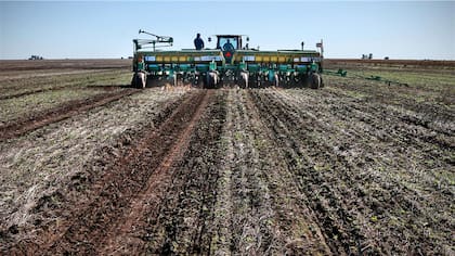 El cambio de escenario para el agro alienta la siembra