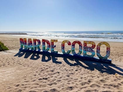 El cambio de vida implicó grandes desafíos (Foto: arte de las letras de Paola Paola Zecchillo)