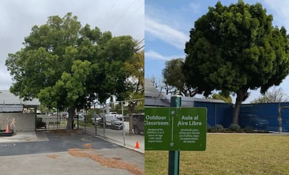 El cambio en una de las escuelas de California bajo el programa Green Schoolyards de CAL FIRE