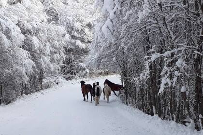 El camino a la escuela suele complicarse con las nevadas