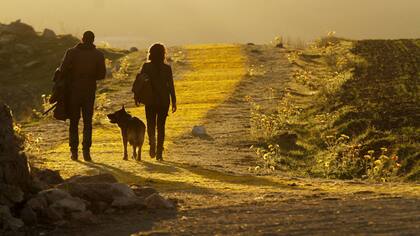 El camino amarillo, versión Tarsem