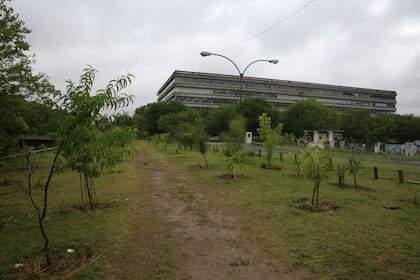 El camino que va de la Ecoaldea a la FADU