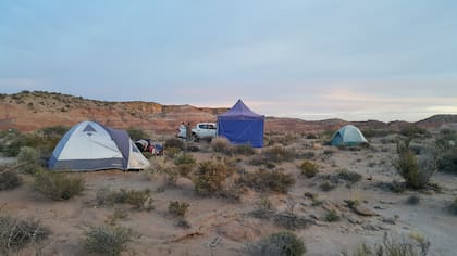 El campamento en la reserva donde se hallaron los huesos del nuevo dinosaurio gigante durante la expedición en 2019